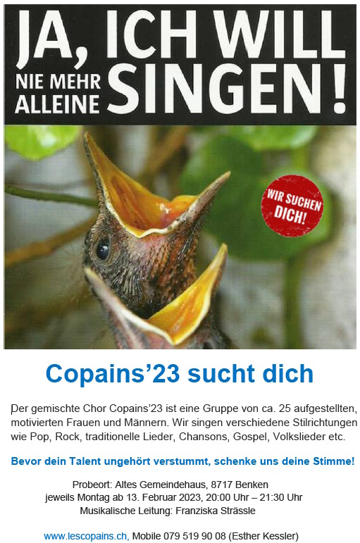 Flyer ja isch will singen